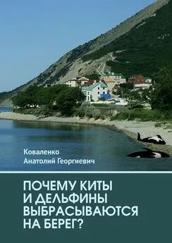 Анатолий Коваленко - Почему киты и дельфины выбрасываются на берег?