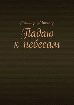 Алишер Мюллер - Падаю к небесам