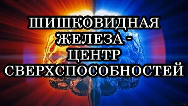 Кому выгодна эта тайна тайн что и памятник поставили в цитаделе рептилоидов в - фото 27