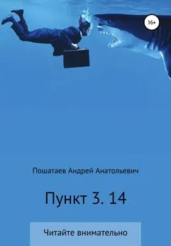 Андрей Пошатаев - Пункт 3. 14