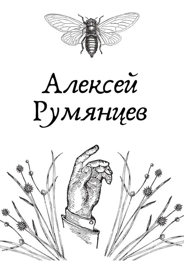 Алексей Румянцев Меня зовут Алексей Румянцев пишу в основном стихи Стихи - фото 6