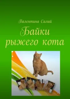 Валентина Салий - Байки рыжего кота. Стихи