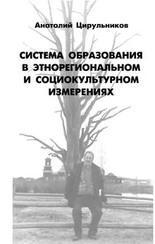 Анатолий Цирульников - Система образования в этнорегиональном и социокультурном измерении