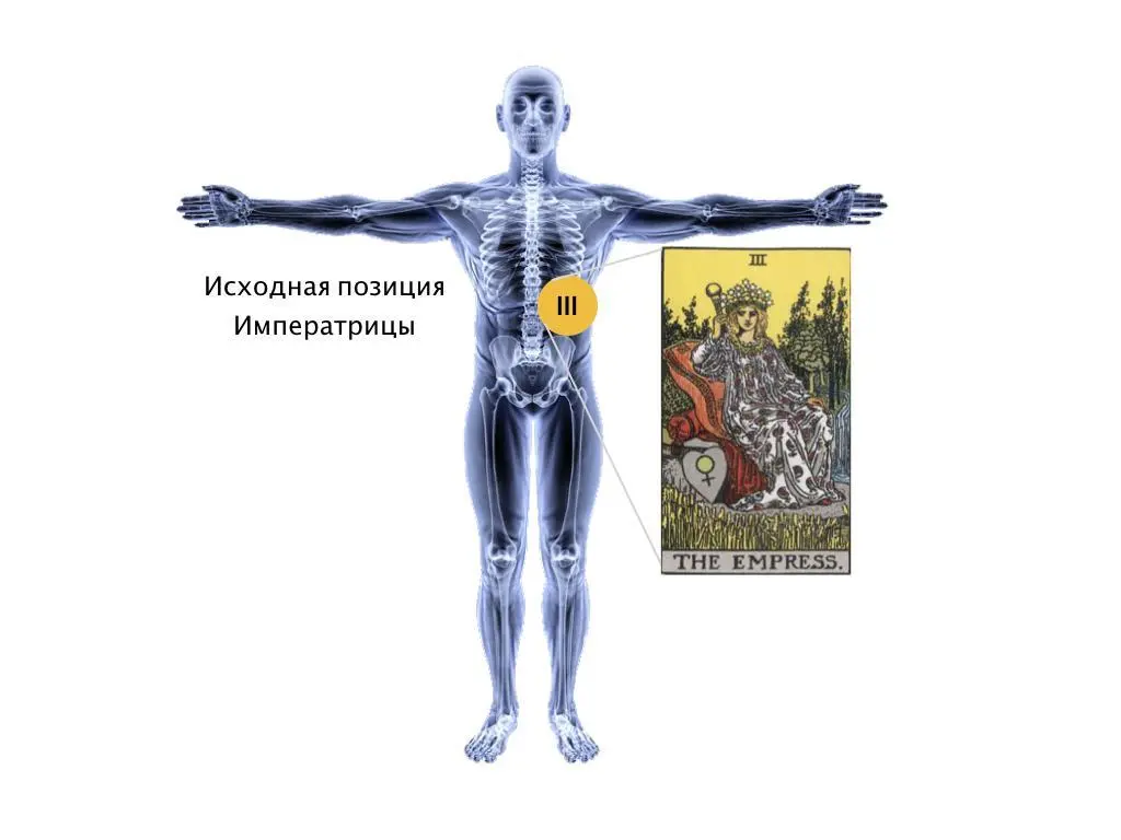 Рис12 Исходная позиция Императрицы на теле Императрица имеет Водную - фото 12