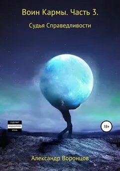 Александр Воронцов - Воин Кармы. Часть 3. Судья Справедливости