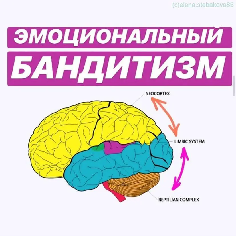 С точки зрения нейрофизиологии все эмоции это мгновенные программы действий - фото 14