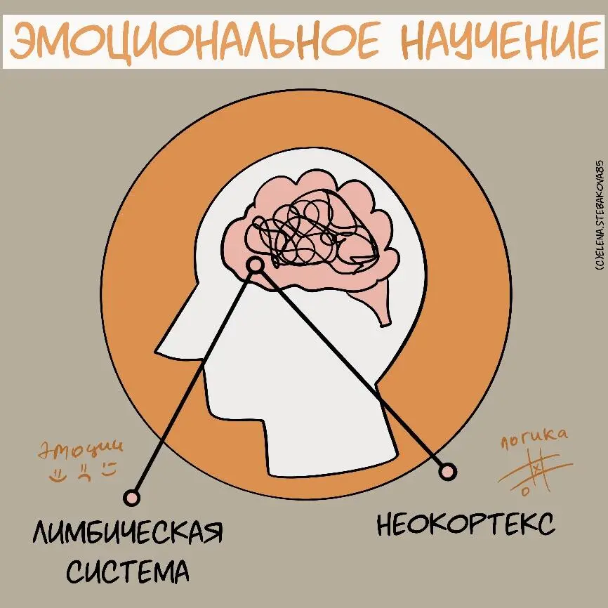Любые эмоциональные уроки и реакции хранятся в эмоциональной памяти нашего - фото 15