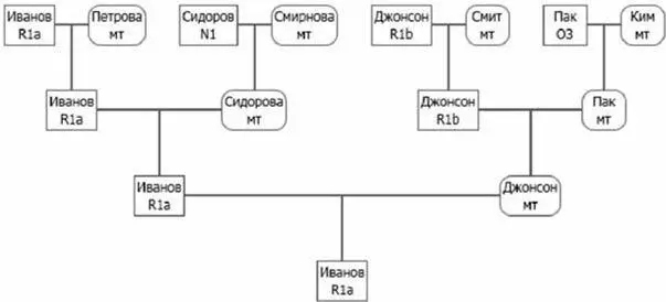 То есть гаплотип Ивановамладшего принадлежит к той же гаплогруппе к которой - фото 5