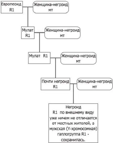Выше я привел курганную гипотезу одну из научных теорий происхождения - фото 6