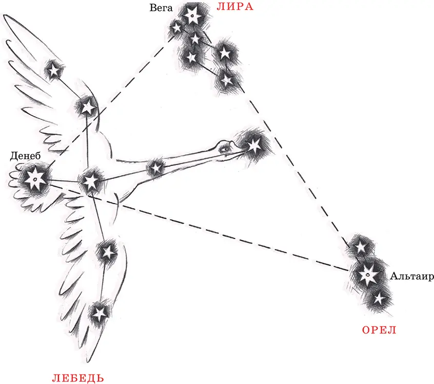 Рис 7 Летний треугольник 3 Летом впрочем и зимой тоже ведь это созвездие - фото 8