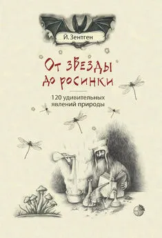 Йенс Зентген - От звезды до росинки. 120 удивительных явлений природы