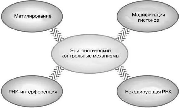 Коммент и завтра и послезавтра вам всё также будет известно стандартно - фото 1