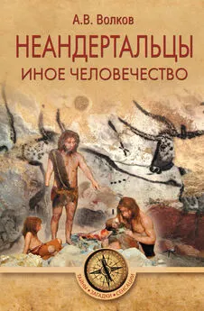 Александр Волков - Неандертальцы. Иное человечество