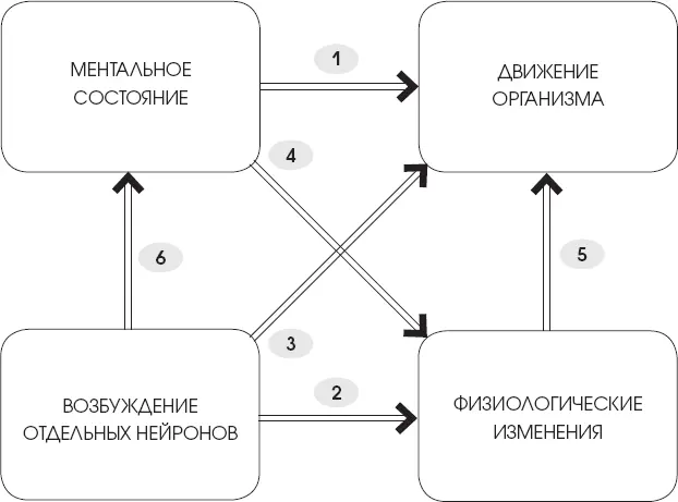 Рис 2 Схема каузальных связей движения организма по Сёрлу 14 Подобный - фото 2