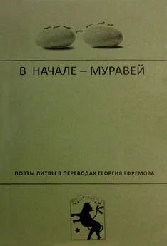 Коллектив авторов - В начале – муравей. Поэты Литвы в переводах Георгия Ефремова