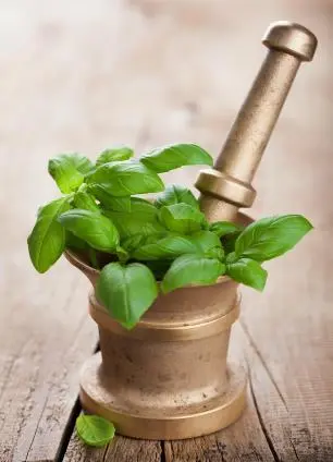 Ingredientes Un ramillete de albahaca fresca Un poco de jazmín Un poco de - фото 17