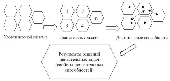 Рисунок 1 Содержательные основы ловкости человека Для раскрытия состава и - фото 5