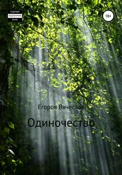 Вячеслав Егоров - Одиночество