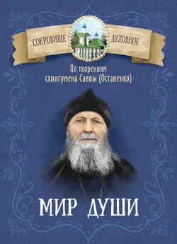 Д. Чунтонов - Мир души. По творениям схиигумена Саввы (Остапенко)