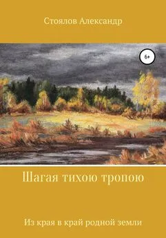 Александр Стоялов - Шагая тихою тропою