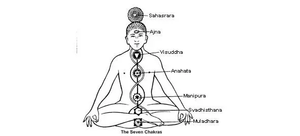 Первая чакра называется Муладхара Она расположена в области копчика Она - фото 1