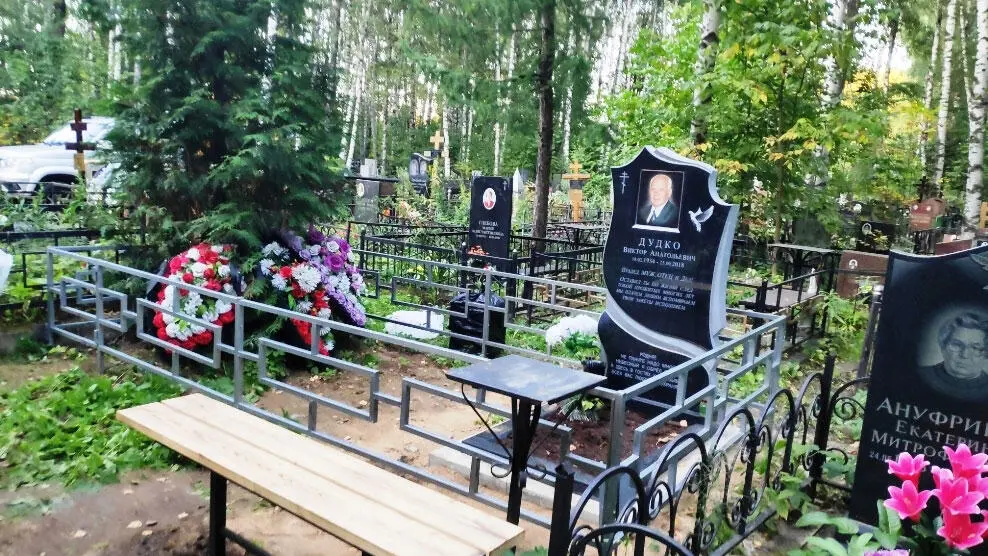 Кладбище старое поэтому на нём много деревьев которые стали большими У нас - фото 32
