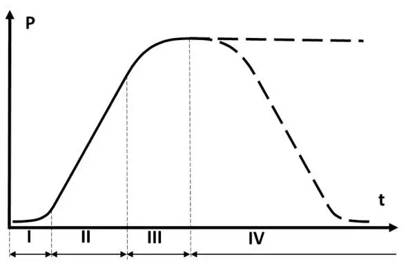 Рис 13 Этапы жизненного цикла Где P параметр t время В начале продукт - фото 6