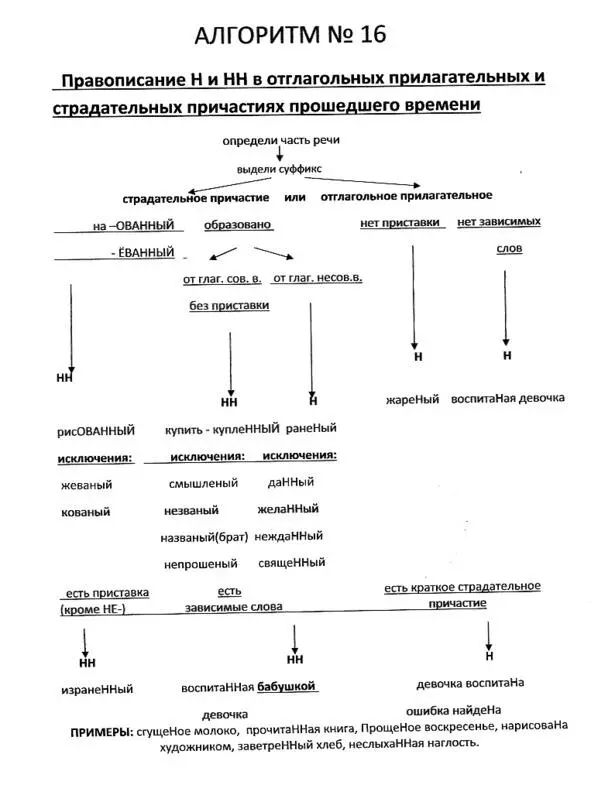 Русский язык в алгоритмах Часть 1 Орфография в 35 алгоритмах - фото 17
