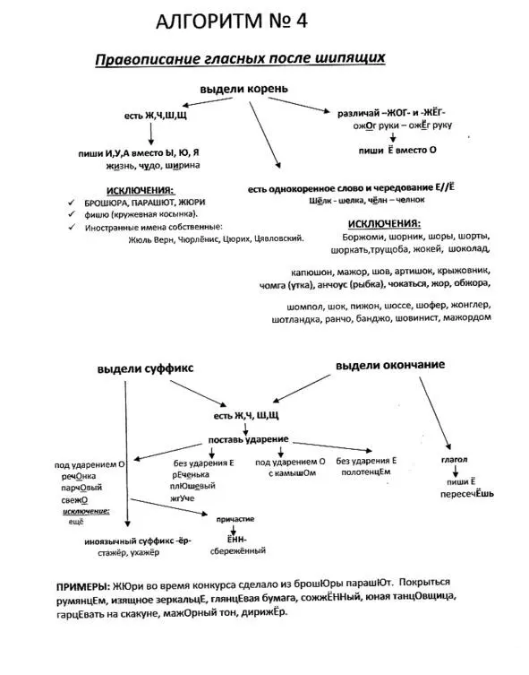 Русский язык в алгоритмах Часть 1 Орфография в 35 алгоритмах - фото 5