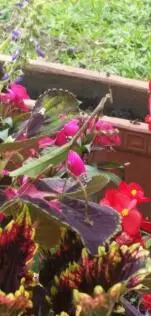 смвидео - фото 6