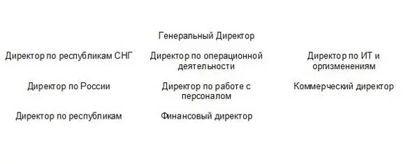 Если рассматривать отдельно сектор работы в России то горизонтальная система - фото 4