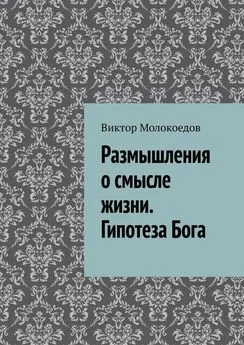 Виктор Молокоедов - Размышления о смысле жизни. Гипотеза Бога