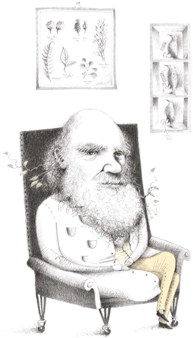 Дарвин Общий ствол В XIX веке Чарльз Дарвин открыл нам много нового впервые - фото 3