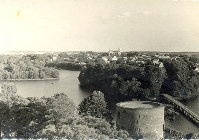 Энциклопедия наших жизней семейная сага Созидание 1960 год - фото 7