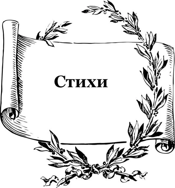 Первое место Светлана Гавшина Ты ко мне Дружок не привыкай Ты ко мне - фото 2