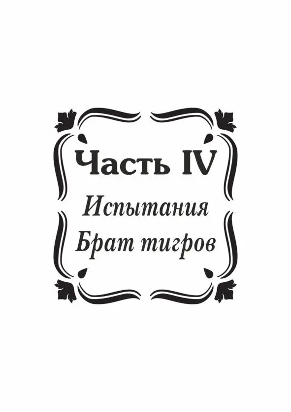 Часть IV Испытания Брат тигров I Не видно горизонта По бескрайним горным - фото 2