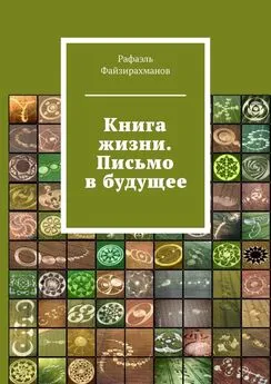 Рафаэль Файзирахманов - Книга жизни. Письмо в будущее