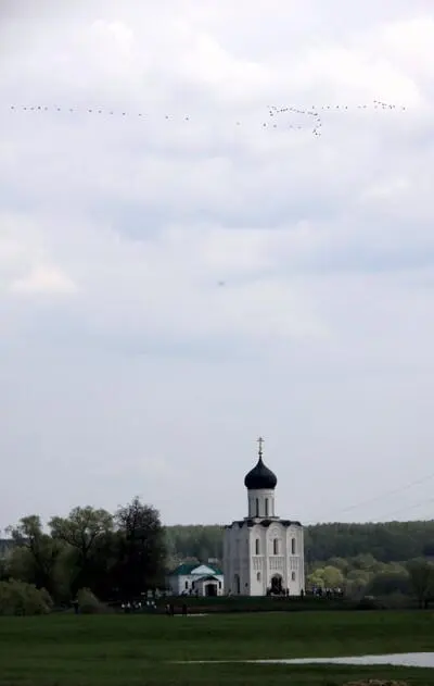 Храм ПокрованаНерли с Боголюбово Владимирская обл В момент своего - фото 42