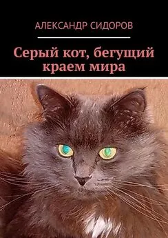 Александр Сидоров - Серый кот, бегущий краем мира