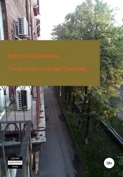 Евгений Баковкин - Тихая жизнь на улице Пирогова