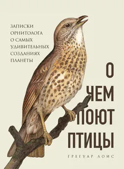 Грегуар Лоис - О чем поют птицы. Записки орнитолога о самых удивительных созданиях планеты