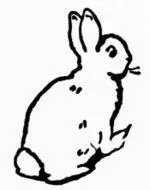 Сказка про злогопрезлого кролика Это злойпрезлой кролик Ух какие свирепые - фото 3