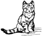 Жилабыла старая кошка по имени миссис Табита Твитчит которая вечно - фото 10