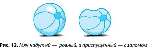 Рабочая мышца умеет сжиматься даже складываться но расправляясь она - фото 24