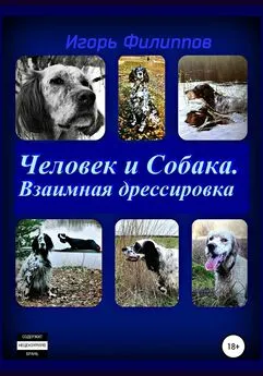 Игорь Филиппов - Человек и собака. Взаимная дрессировка