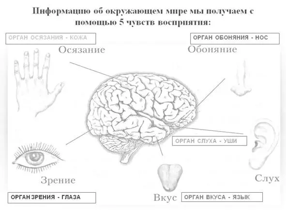 А так же любое движение это так же вибрация по отношению к окружающему - фото 14