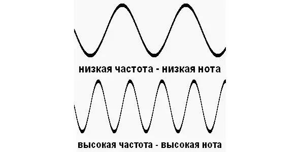 К примеру разные радиочастоты частота колебаний более мелких растений по - фото 8