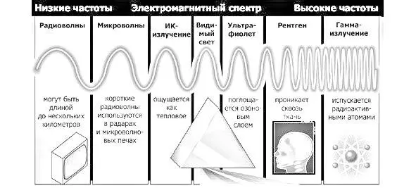 К примеру разные радиочастоты частота колебаний более мелких растений по - фото 9