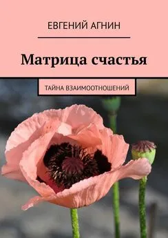 Евгений Агнин - Матрица счастья. Тайна взаимоотношений