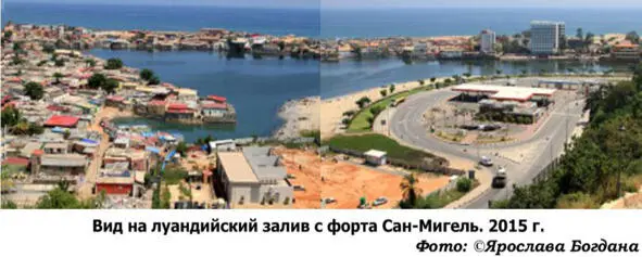 Подводная одиссея команды Кусто стала не только настоящей энциклопедией - фото 29